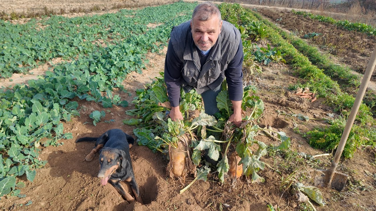 SEGGEN ÜLŐ RÉPA😮🤠