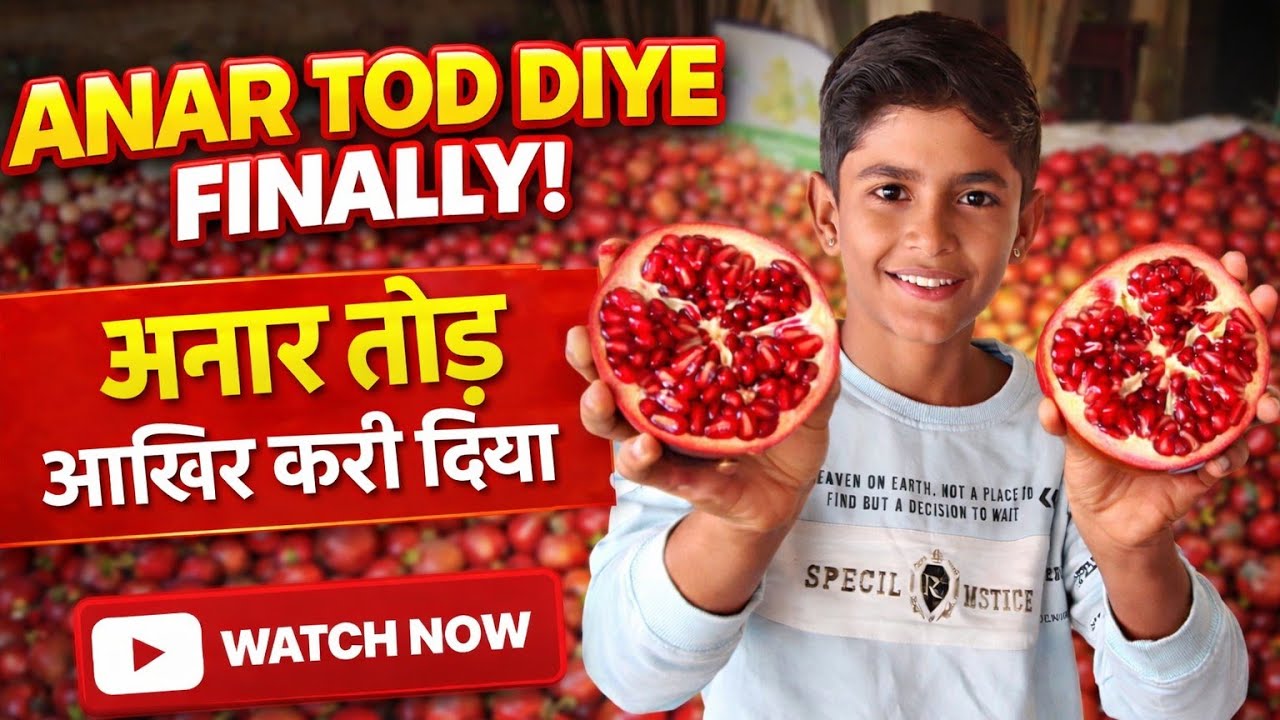 Finally anar nikal diye 😶 