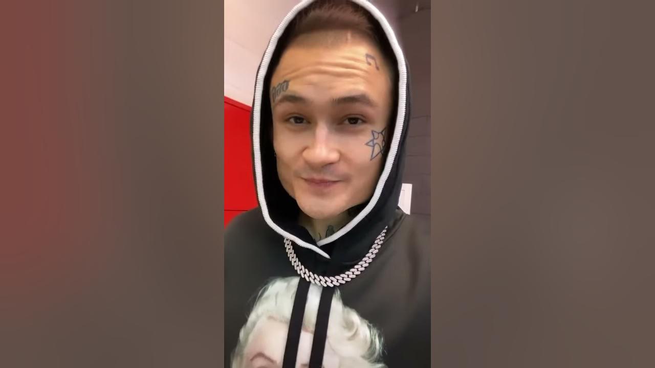 Алишер Моргенштерн мерин