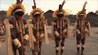 Video thumbnail of "WALKA - Pachamama (Cuidemos Nuestra Tierra)"