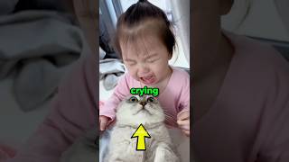 Cats Cant Stand A Crying Child