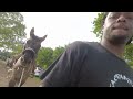 Colt Starting a Young Stallion 🐎🔥 | Building Trust from the Ground Up