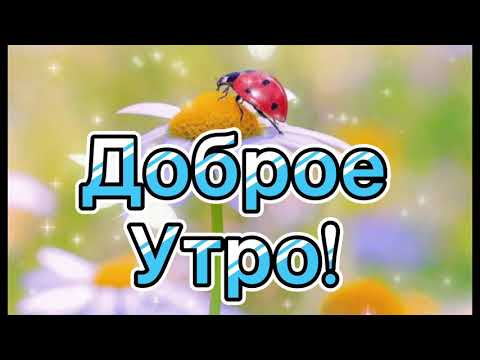 Доброе утро! Счастливого понедельника! Удачной недели!