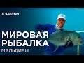 Морская рыбалка. Fish travel expert Михаил Карпович ( Mikhail Karpovich )
