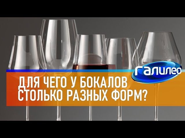 Галилео 🍷 Для чего у бокалов столько разных форм?