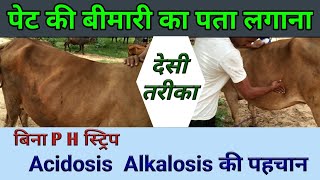 ruminal acidosis  alcalosis in cattle Buffalo एसिडोसिस अल्क्लोसीस ph rumen अम्लीयता क्षारीयता