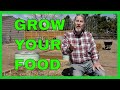 The Best Food Crops (Top 10)