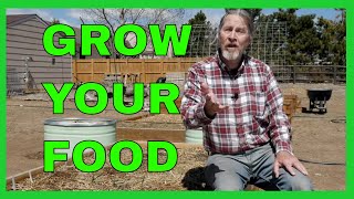 How to Choose the Best Food Crops (Top 10)