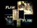 Flaw - Amendment