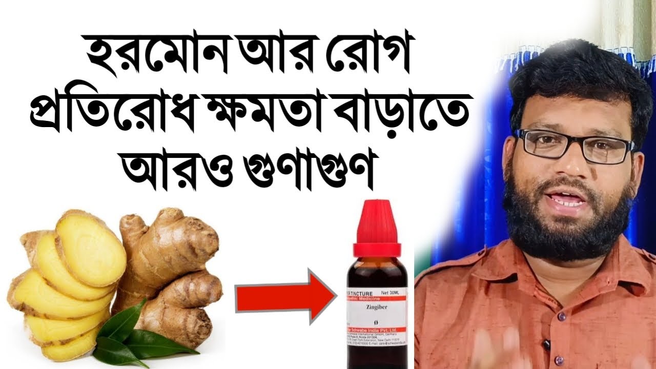 আদা দিয়ে তৈরি হোমিওপ্যাথি ঔষধ এর গুণাগুণ | zingiber officinale homeopathy medicine in bengali