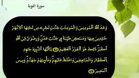 القرآن الكريم مقسم الى أثمان : الثمن السادس(6) - الحزب العشرون(20)- سورة التوبة - رواية ورش.
