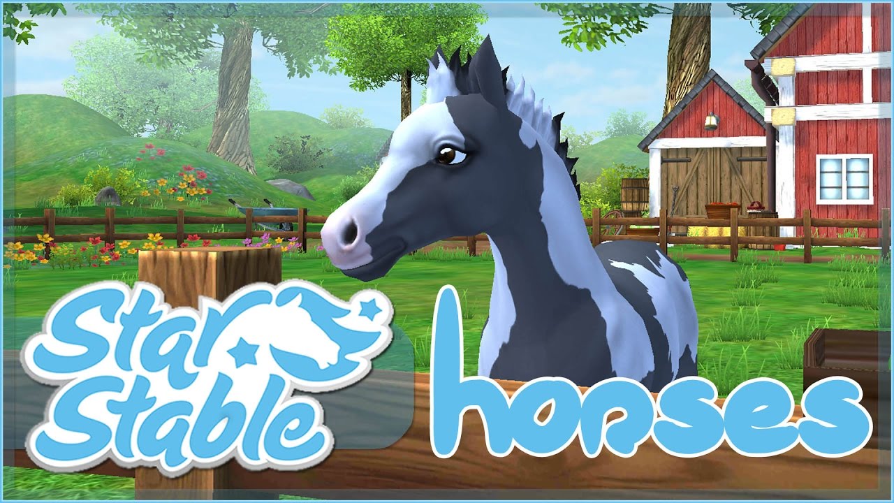 Raising Our New Foal!! • Star Stable Horses App! - YouTube