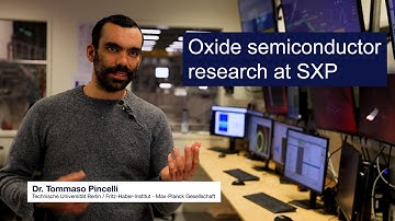 Ultrafast collective excitations and screening dynamics in correlated oxides at European XFEL