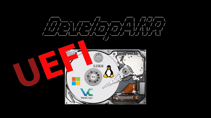 How to install multi boot UEFI system in one physical drive with full disk encryption