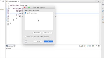 AP CompSci Video 2: Conditionals If and Else
