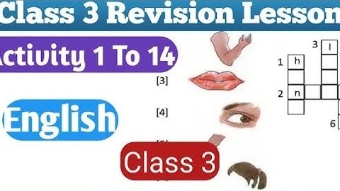 class 3 English Butterfly Book Revision lesson Activity 1 to 14 Solved || WBBSE @RIYA ASHIS LESSON