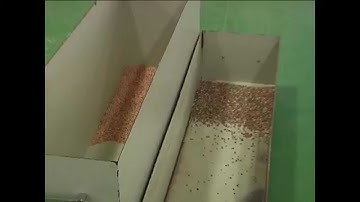 How to sort Red Potassium Feldspar by Angelon color sorter?