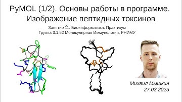PyMOL. Основы работы (1/2) | РНИМУ Молекулярная Иммунология 3.1.52 | Михаил Мышкин