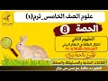 الحصة8علوم خامسة المفهوم 2 الجزء2 انتقال الطاقة في النظام البيئي العلوم ده حكاية مع مس منى عزام