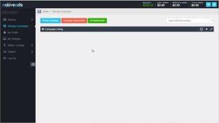 Native Ads Campaign Creation Part 3 Optimization, Billing, Funding