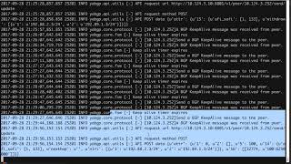 YABGP tutorial: how to send flowspec message to the router