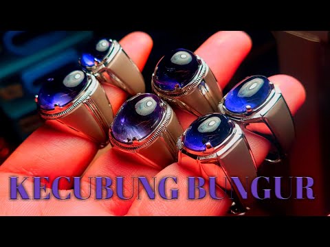 bungur #bacan # bacandoko Jika berminat boleh langsung di wa saja bos di wa 082179071615 Untuk kualu. 