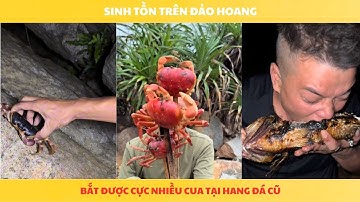 Phần 11 | Một ngày may mắn bắt được cực nhiều cua và cá