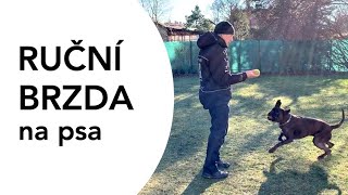 #95 Ruční BRZDA na psa