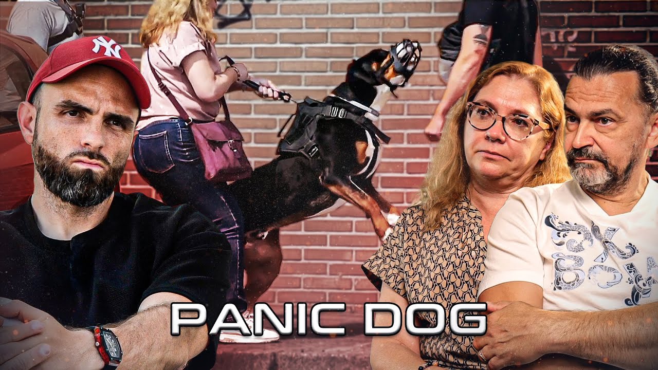 « Il fait 60kg, quand il attaque, on peut pas le retenir ! » Grand Bouvier Suisse - Panic Dog Ep22