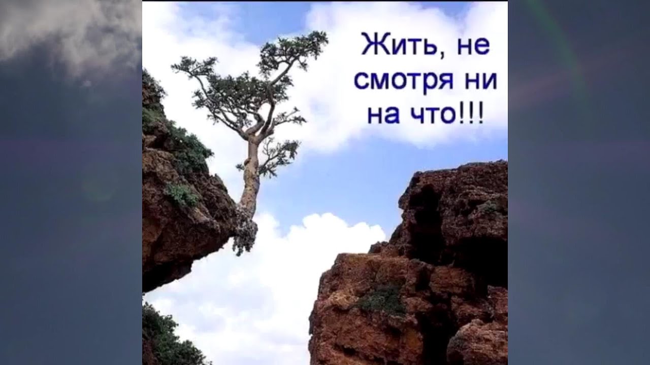 Жить не смотря ни на что...!!! - YouTube