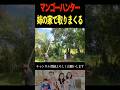【フィリピンの田舎】グリーンマンゴーをこれでもかという程取りまくる‼︎ #フィリピン #田舎暮らし #︎海外生活