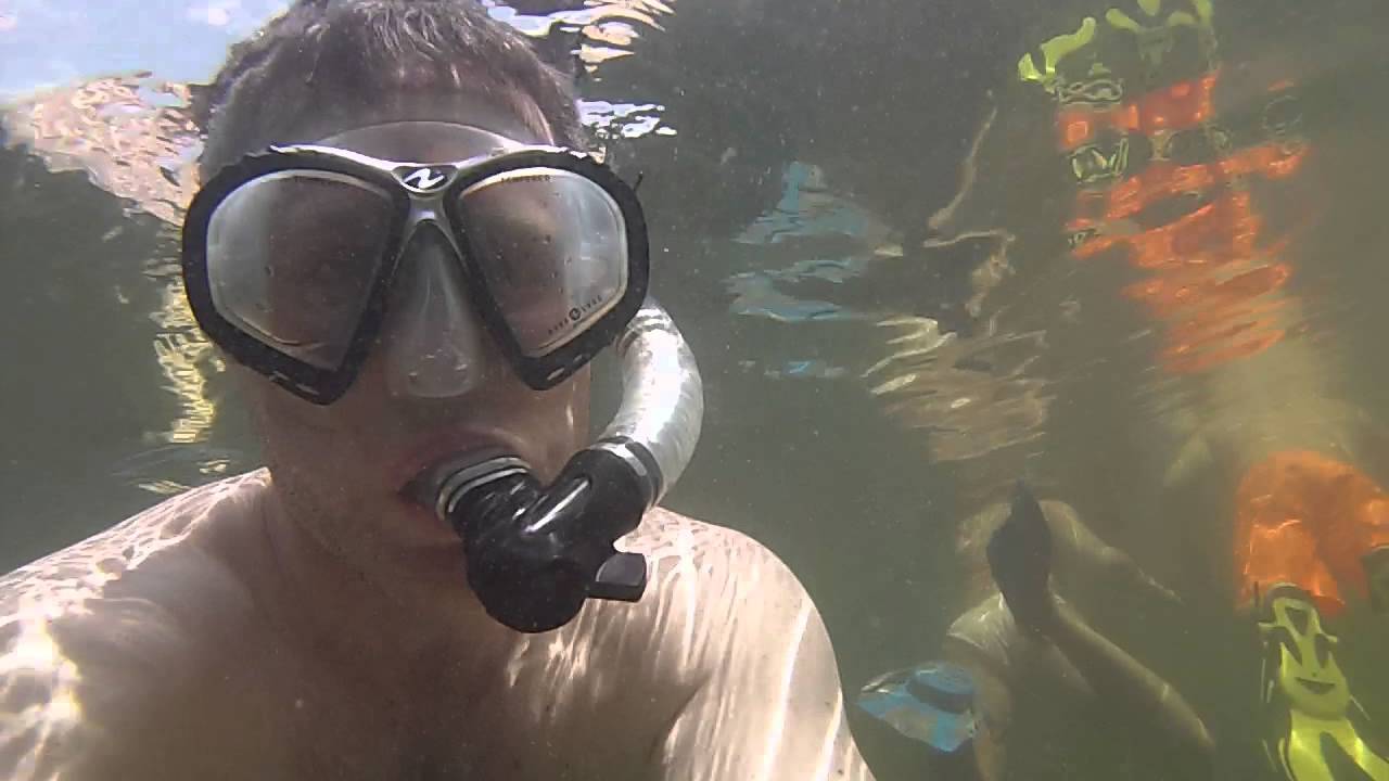 Snorkeling at John Pennekamp Sate Park near Key Largo 2 YouTube