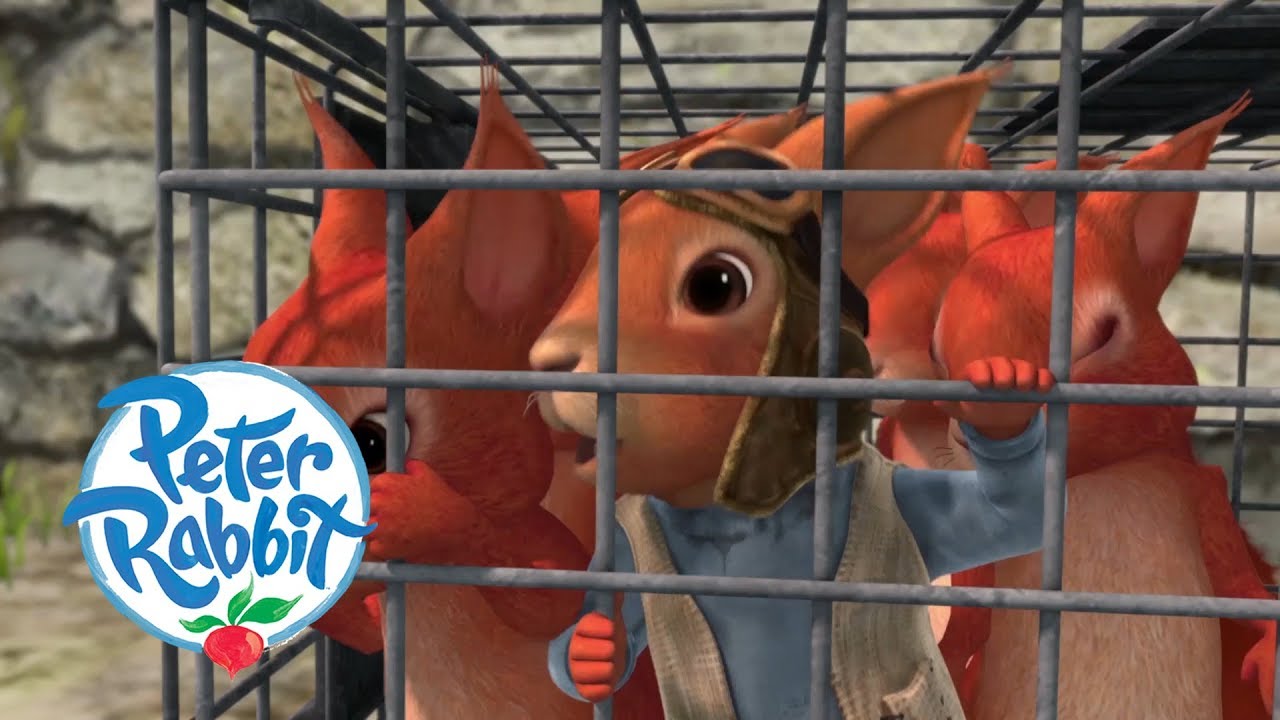 Download Peter Rabbit - The Great Squirrel Rescue Mission | Cartoons for Kids