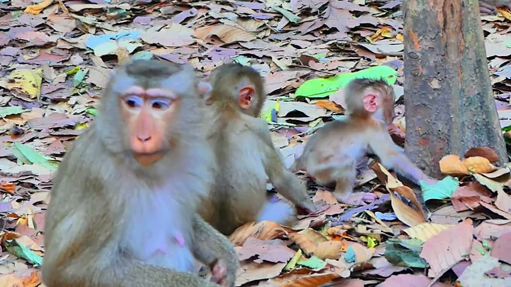 Untitled 2025 09 24 22 18 20 2