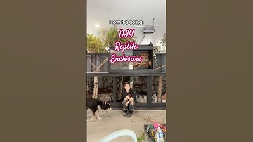 Building a DIY reptile enclosure! Full video coming soon!