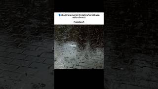 Nasıl Yok Usta... Şfet Şfetteyiz