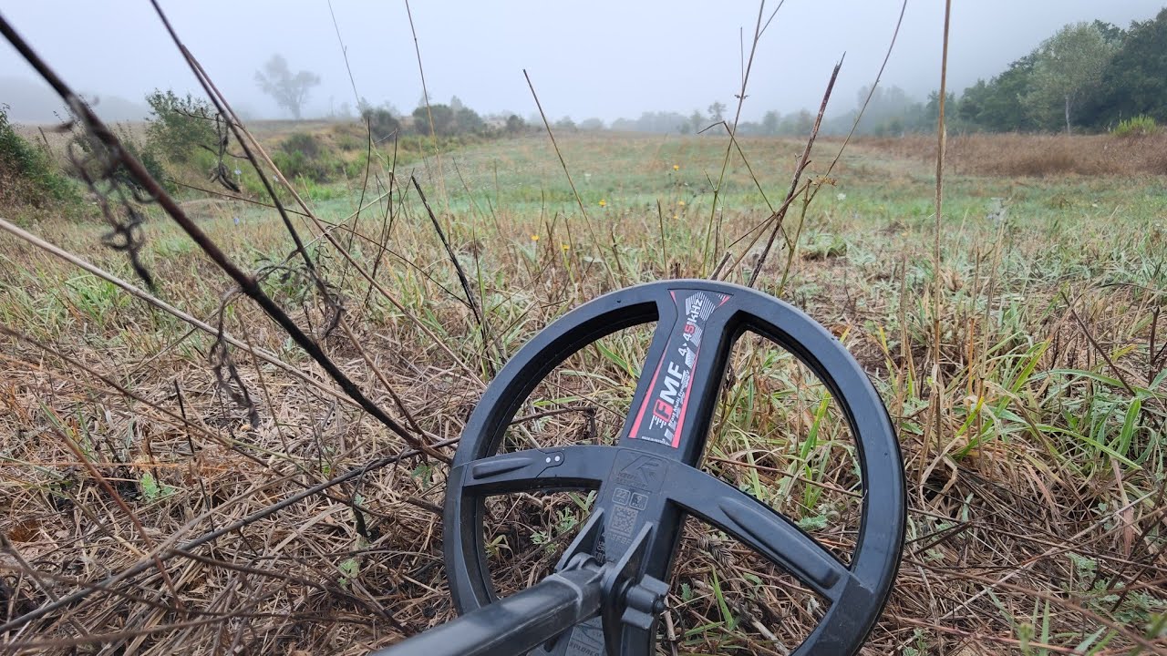 🇮🇹 XP DEUS 2 PROGRAMMA 89 🇮🇹 PROVA SU CAMPO #metaldetecting #metaldetector 