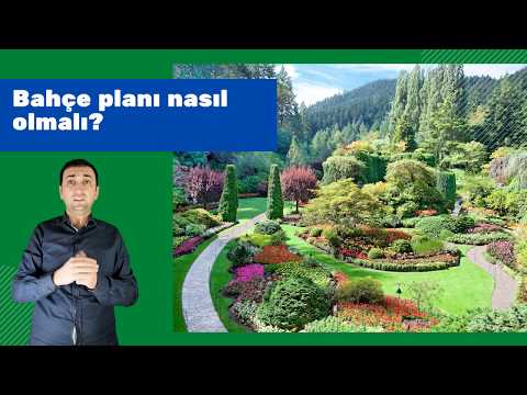 Video: Xeriscape Konteyner Bahçesi İçin İpuçları