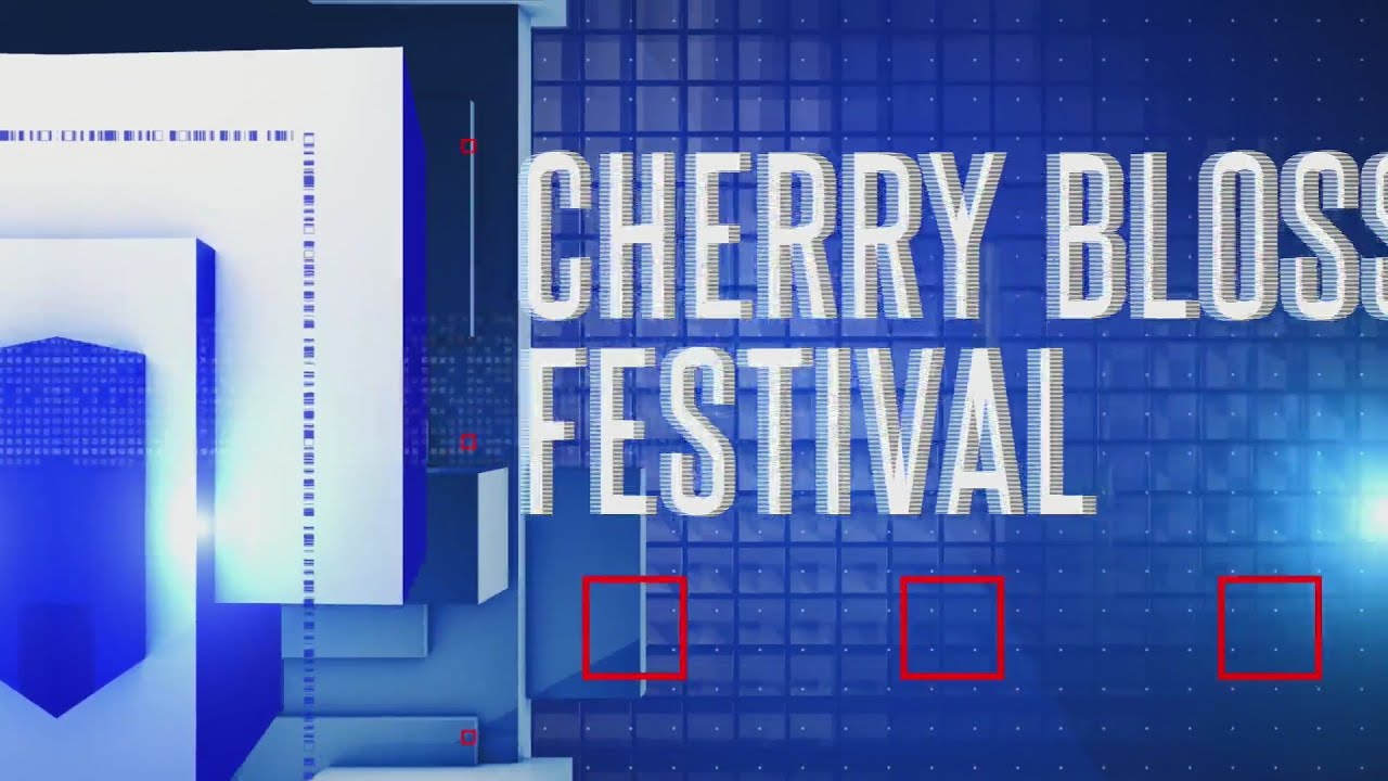 What to expect from the National Cherry Blossom Festival