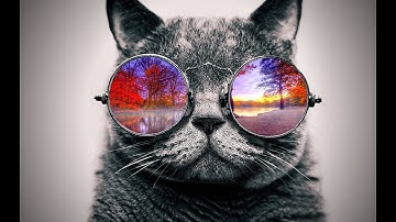 *NEW FREE* BO1/PS3 Kebab Engine Non Host SPRX By Zeam (Aimbot,Anti-Aims,etc) Download via discord!