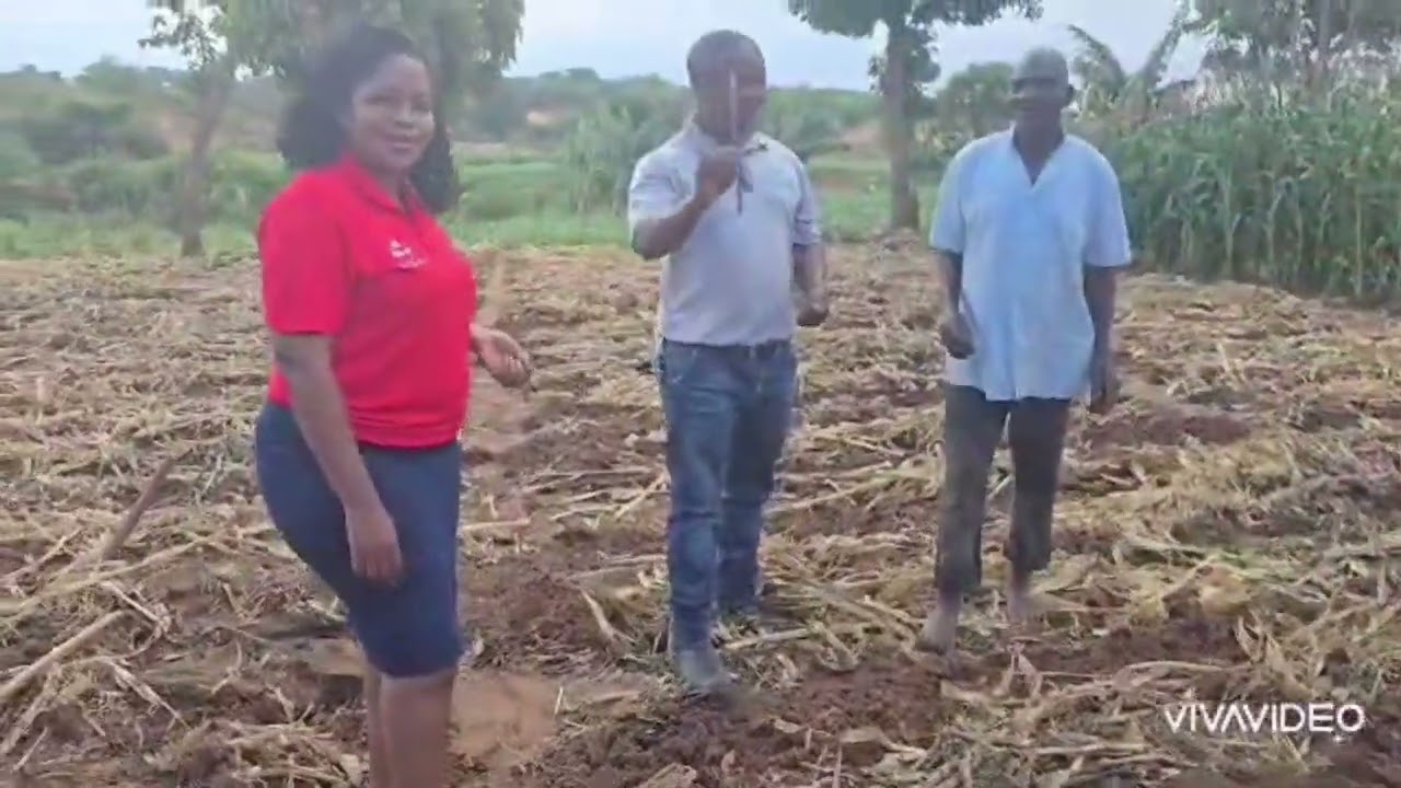 Insight From Agronomist Part1&2