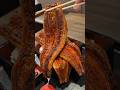 【愛知・豊田】３枚の鰻と親子丼♪ the Japanese eel and egg【名古屋めし食堂】#japanesefood #愛知グルメ #豊田グルメ #鰻 #親子丼 #日本料理 #うな重