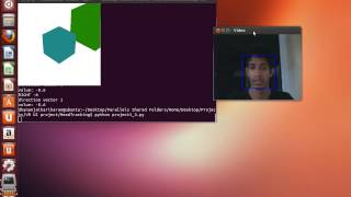 Head tracking in a virtual environment - Python, OpenCV, VTK