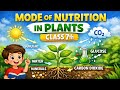 Mode Of Nutrition In Plants