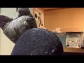 久しぶりの動画更新しようと思いましたが