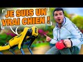 JE ME PREND LA TÊTE AVEC MON CHIEN ROBOT ! (il rend fou)