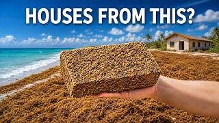 Full Sargassum Seaweed Overrun (How Mexico turns it into HOMES) Update