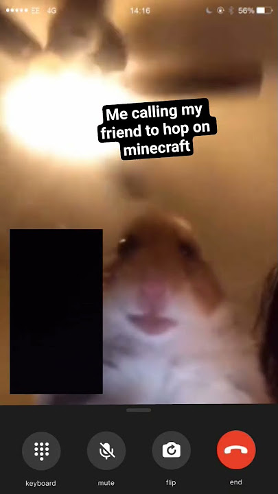 me calling my friend to hop on minecraft #memes #memecore
