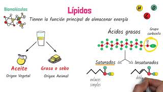 Lípidos Biomoléculas