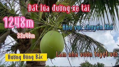 Đất Cần Giuộc Giá Rẻ| Đất lúa mặt tiền đường,khu vực chuyển thổ,code đẹp,làm nhà vườn thôi.